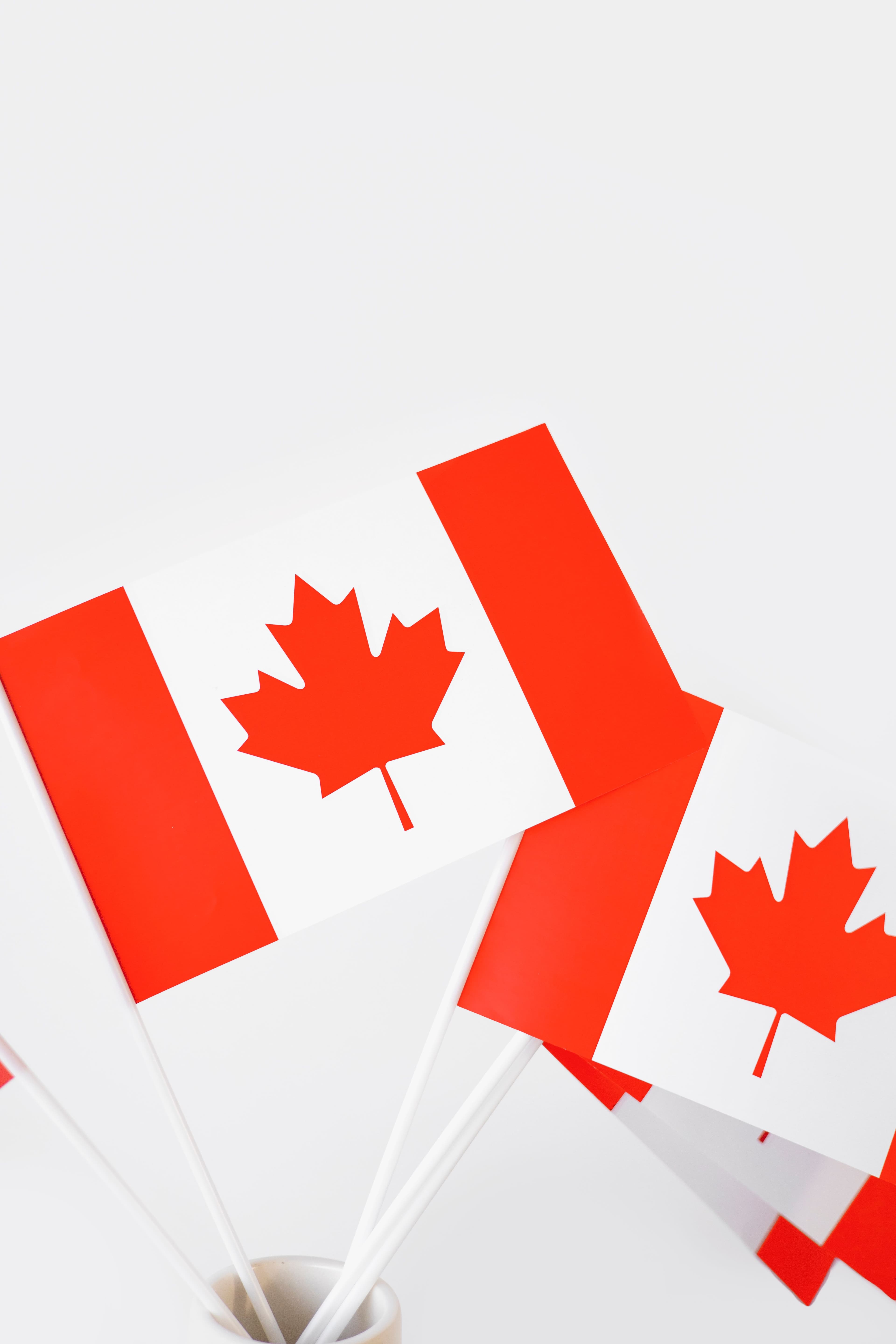Canadian flags with red maple leaves